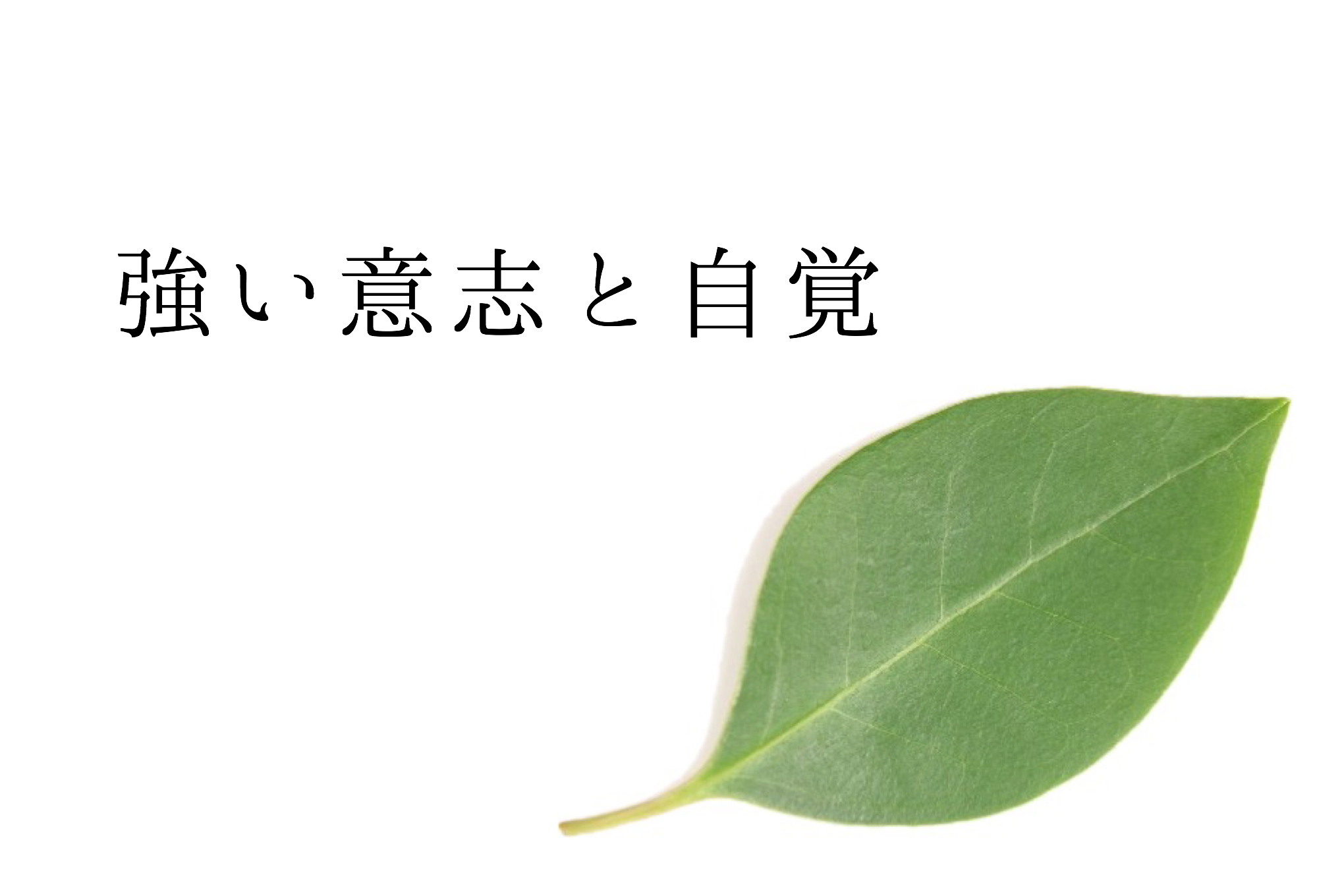 講師からのメッセージ