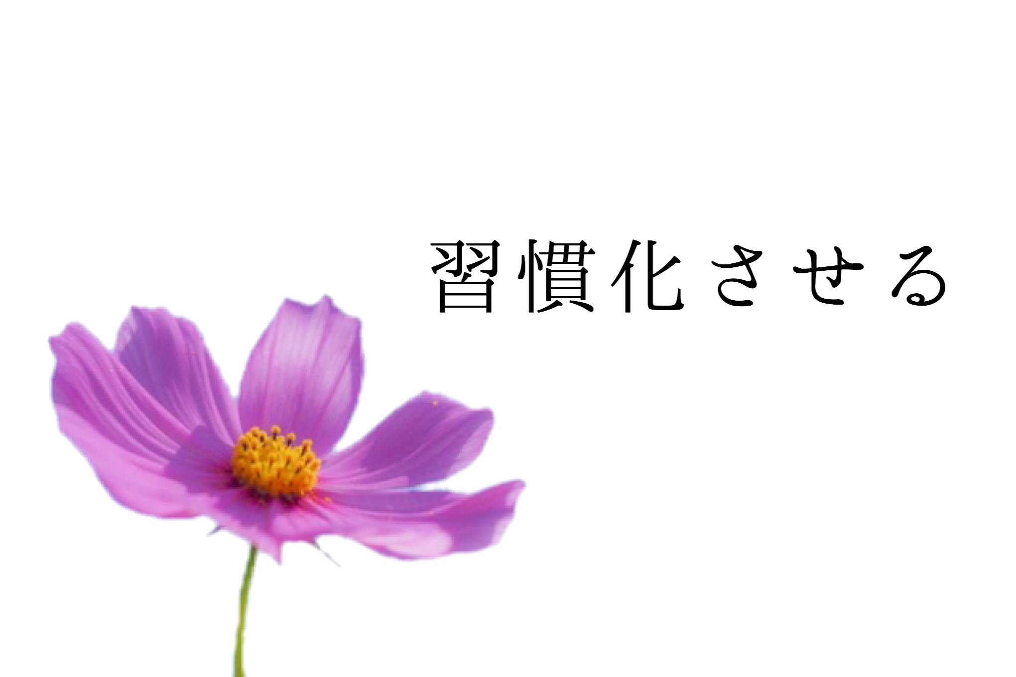 講師からのメッセージ