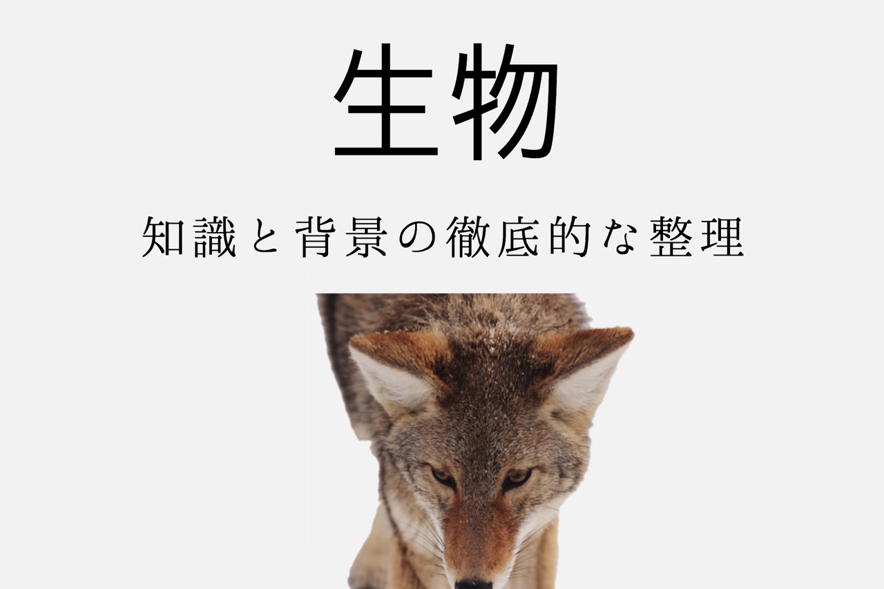 医学部科目